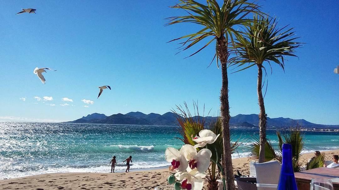 Appartement Cosy Calme Central-Terrasse Proche Palais Cannes Luaran gambar